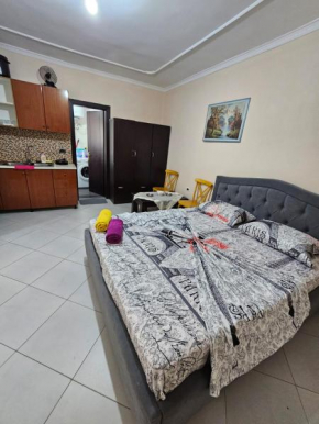 Elezi Apartment City Centre 2